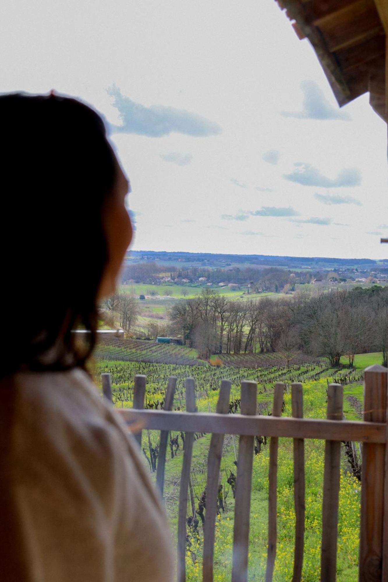 Le Domaine De La Tour Des Vents Bed & Breakfast แบร์เฌอรัก ภายนอก รูปภาพ