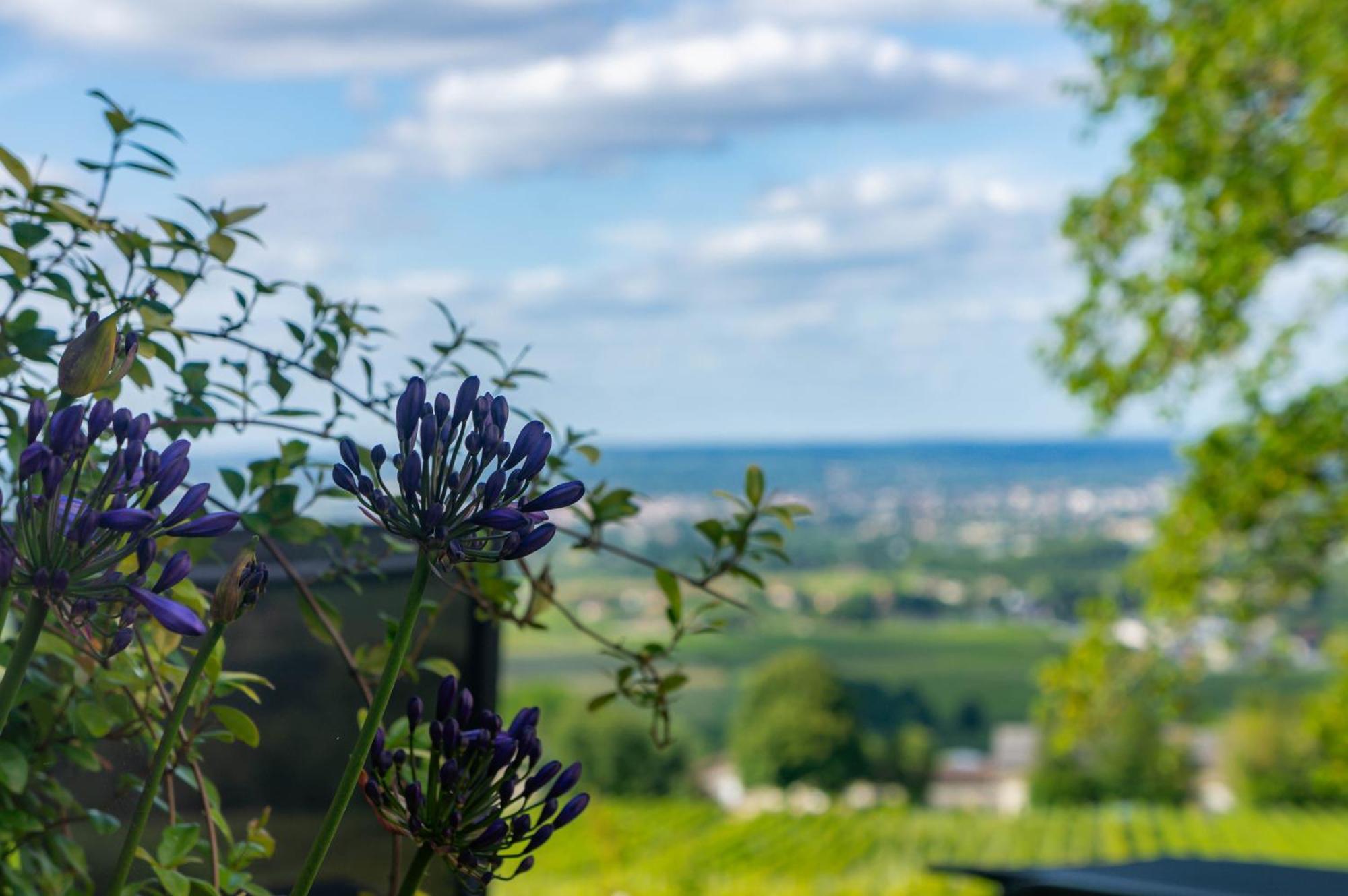 Le Domaine De La Tour Des Vents Bed & Breakfast แบร์เฌอรัก ภายนอก รูปภาพ